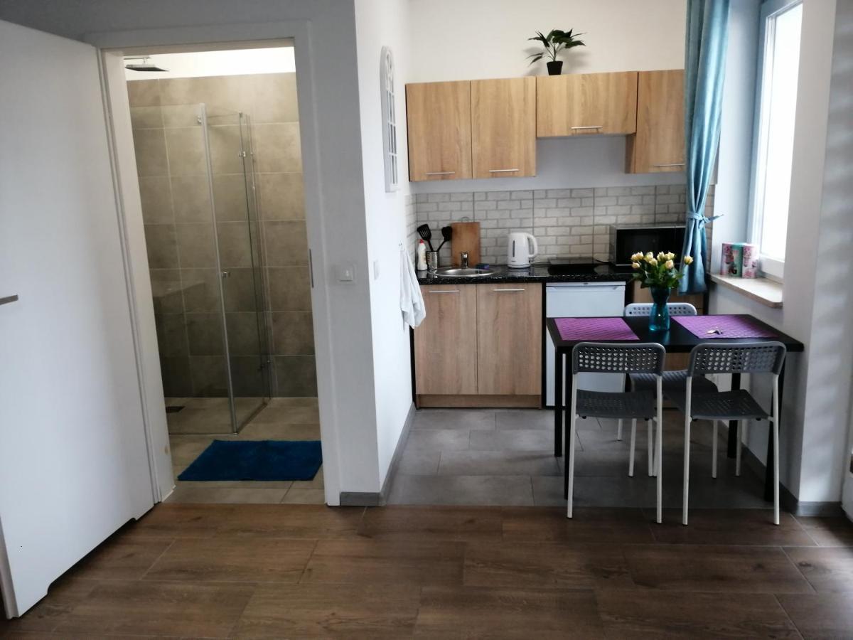 Pokoje - Studio Gliwice I Przy Onkologii Exterior foto